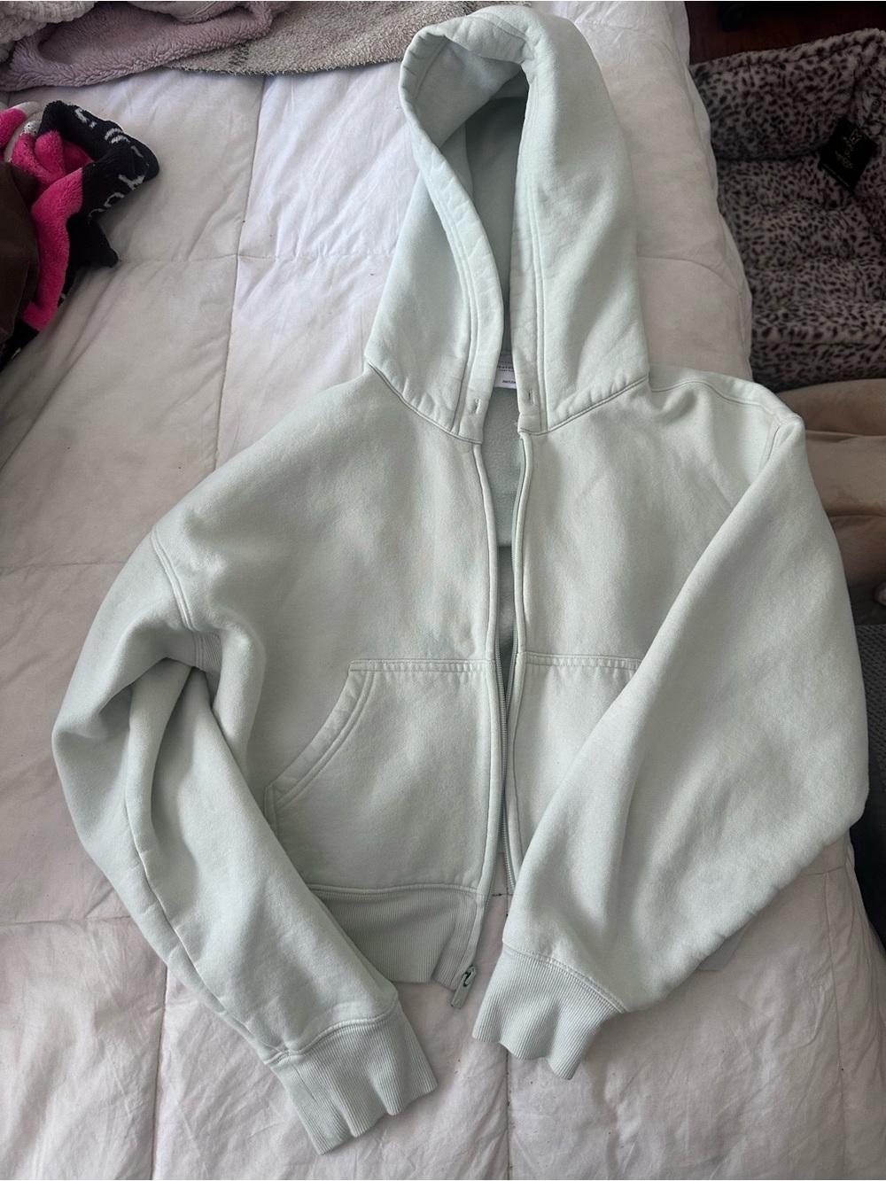 Aritzia sweatfleece mint hoodie
